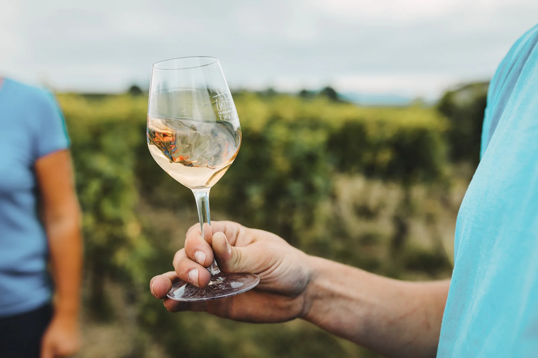 Verre levé dans un domaine viticole vaudois lors d’un moment de marque.